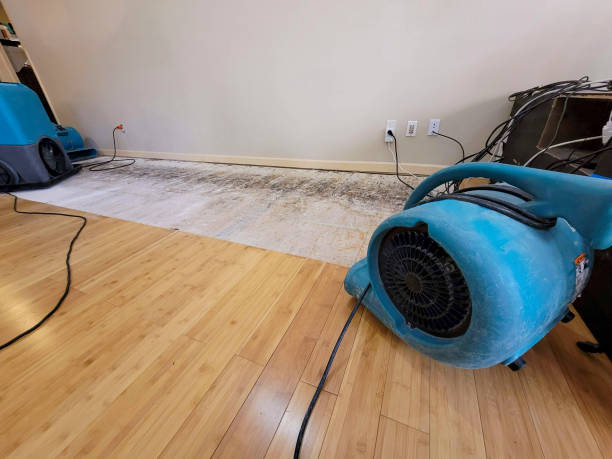 Reliable Basement Flood Cleanup contractor in Robertsville, NJ by Hirex Water Damage