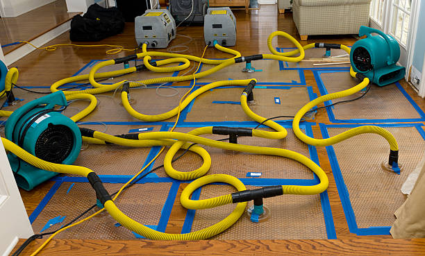 Professional Basement Flood Cleanup technician working in Robertsville, NJ
