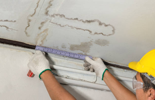 Affordable Water Damage Repair solutions in Robertsville, NJ